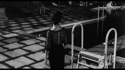 I'm your greatest admirer in Italy - La Notte