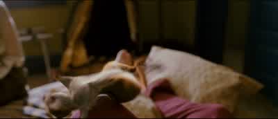 I'm handsome even when I sleep - Enchanted