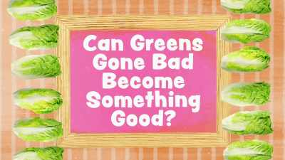 I'm heading back
to GrowGood farms - What Am I Eating? With Zooey Deschanel