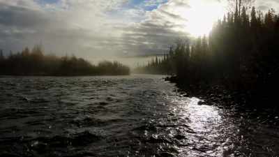 I'm here to hunt
whatever comes in the call. - Life Below Zero: Next Generation