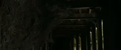 I'm here to help you, Credence. - Fantastic Beasts and Where to Find Them