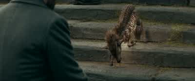 I'm honored. - Fantastic Beasts: The Secrets of Dumbledore