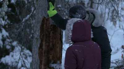 I'm hoping that it
just falls right on
down to this clearing, - Life Below Zero: Next Generation