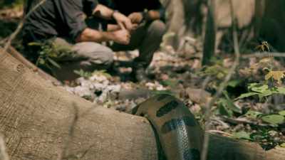 I'M HOPING MAYCOL HAS
SOME INSIGHT. - Expedition Mungo