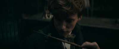 I'm... I'm a magizoologist. - Fantastic Beasts: The Secrets of Dumbledore