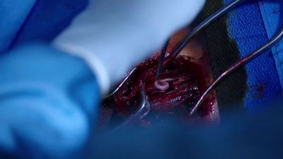 - I'm in. - Chicago Med