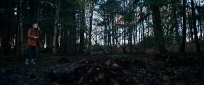 -I'm in the woods
about a mile from where - Mandrake