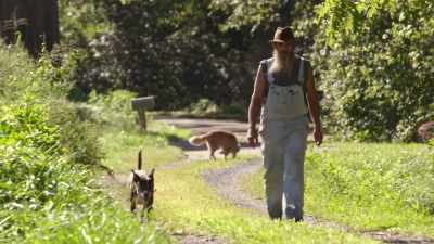   I'm just a
  old-fashion hillbilly. - Moonshiners: Master Distiller