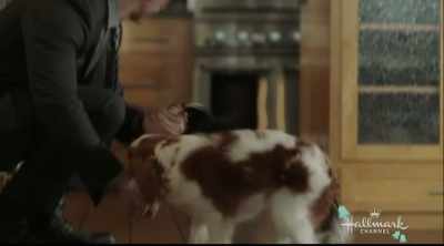 I'm just changing. - Marrying Mr. Darcy