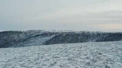 I'm just glassing
that mountain over there, - Life Below Zero: First Alaskans