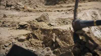 I'M JUST GONNA CHECK
SOMETHING REAL QUICK. - Dino Hunters
