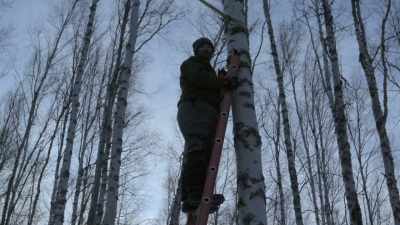 I'm just trying to visualize - Life Below Zero: Next Generation