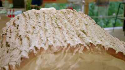 I'm keeping this bark, - Handmade: Britain's Best Woodworker