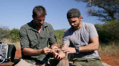 - I'm like already
freaking shaking. - Kings of Pain