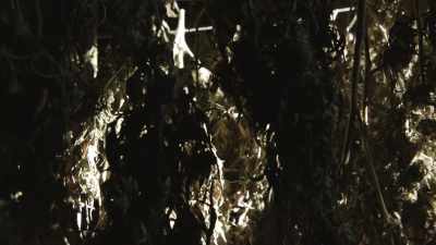 I'm, like, atop of the game here, - Murder Mountain