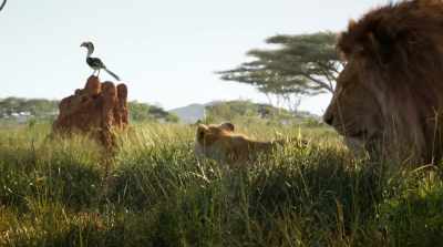 I'm like, "Birds, we get it." - The Lion King