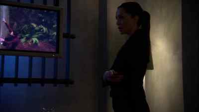 I'm looking at a ghost, Mr. Reynolds. - Kyle XY