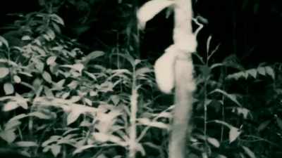 I'M LOOKING FOR ANY SIGNS, - Expedition Mungo