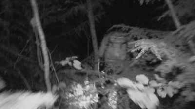 I'm making my way
towards where - Expedition Bigfoot