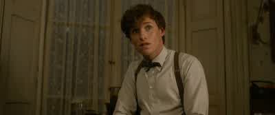 I'm marrying Jacob. - Fantastic Beasts: The Crimes of Grindelwald