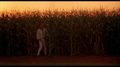 I'm melting I'm melting - Field of Dreams