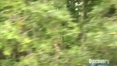 I'm not 100%
but I need to get going - Man vs. Wild