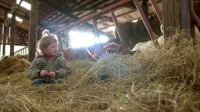..I'm not allowed
to get on the Bobcat, - Our Yorkshire Farm