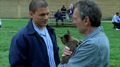 - I'm not d.B. - Prison Break