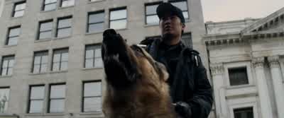 I'm not gonna ask you again. - Shooter