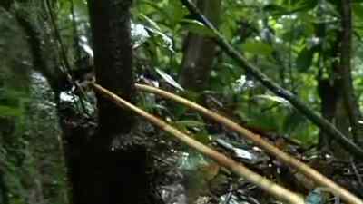 I'M NOT GONNA BE DOING THIS
AGAIN IN A HURRY! - Man vs. Wild