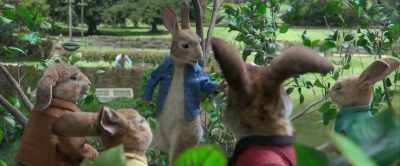 I'm not gonna pretend
that what we're about to do - Peter Rabbit
