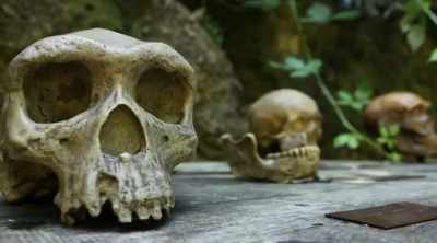 I'm not making
up any theories, - Alien Worlds: Giants and Hybrids