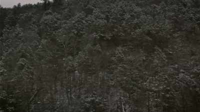I'm not saying the
deer don't come down, - Secrets of the Sasquatch