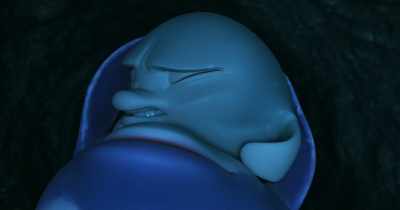 I'm not stopping you
but first, let's play. - Dolphin Boy