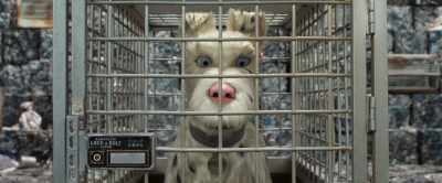 I'm not supposed
to be his friend, - Isle of Dogs