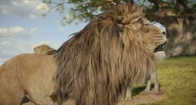 I'm not even sure I could eat
this kibeti! - Mufasa: The Lion King