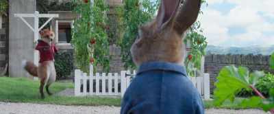 I'm okay. - Peter Rabbit 2: The Runaway