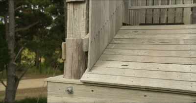 I'm okay!
The poison ivy broke my fall. - Woody Woodpecker Goes to Camp