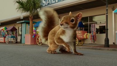 I'm out of nuts - 