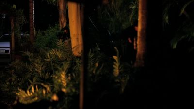I'm out. - Hawaii Five-0