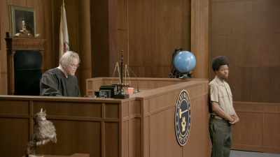 I'm pretty. I'm pretty bird. - Gary Busey: Pet Judge