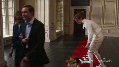 I'm pretty sure
I read every book - A Royal Corgi Christmas