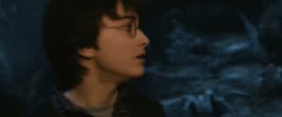 I'm pretty sure she didn't havea camera or a mirror, Harry. - Harry Potter and the Chamber of Secrets