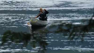 I'm pretty
sure that that fish - Chefs vs Wild