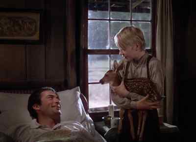 I'm proud you found him. - The Yearling