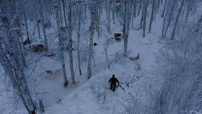 I'm puttin' my four most
rambunctious, crazy, - Life Below Zero: Next Generation