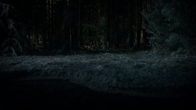 I'm ready. - The Vampire Diaries