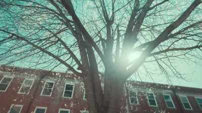 I'm really curious. - Living for the Dead