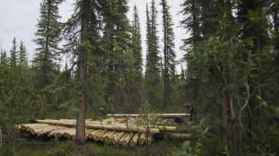 I'M REALLY HOPING - The Last Alaskans