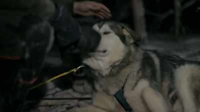 I'm really impressed
with these crazy malamutes. - Life Below Zero: Next Generation